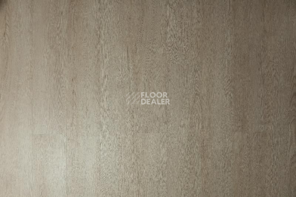 Кварцвиниловые полы Tarkett Funky House Ricon фото 1 | FLOORDEALER